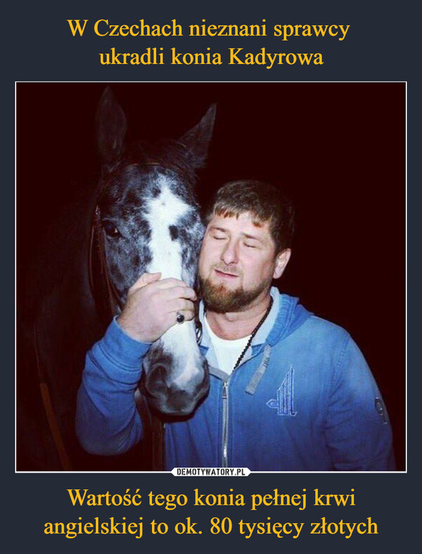 W Czechach nieznani sprawcy 
ukradli konia Kadyrowa Wartość tego konia pełnej krwi angielskiej to ok. 80 tysięcy złotych