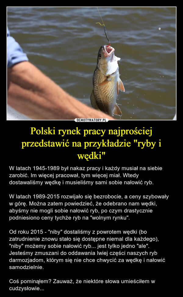 Polski rynek pracy najprościej przedstawić na przykładzie "ryby i wędki" – W latach 1945-1989 był nakaz pracy i każdy musiał na siebie zarobić. Im więcej pracował, tym więcej miał. Wtedy dostawaliśmy wędkę i musieliśmy sami sobie nałowić ryb.W latach 1989-2015 rozwijało się bezrobocie, a ceny szybowały w górę. Można zatem powiedzieć, że odebrano nam wędki, abyśmy nie mogli sobie nałowić ryb, po czym drastycznie podniesiono ceny tychże ryb na "wolnym rynku".Od roku 2015 - "niby" dostaliśmy z powrotem wędki (bo zatrudnienie znowu stało się dostępne niemal dla każdego), "niby" możemy sobie nałowić ryb... jest tylko jedno "ale". Jesteśmy zmuszani do oddawania lwiej części naszych ryb darmozjadom, którym się nie chce chwycić za wędkę i nałowić samodzielnie.Coś pominąłem? Zauważ, że niektóre słowa umieściłem w cudzysłowie... 