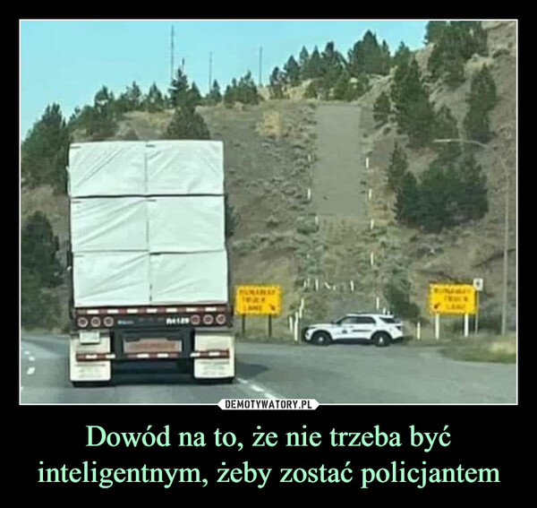 Dowód na to, że nie trzeba być inteligentnym, żeby zostać policjantem –  HEAD TRUCK Bonehead TruckerspopkoonerdProof you don't need to be smart, to be a cop.1000A4129Re. 2m.TING...X