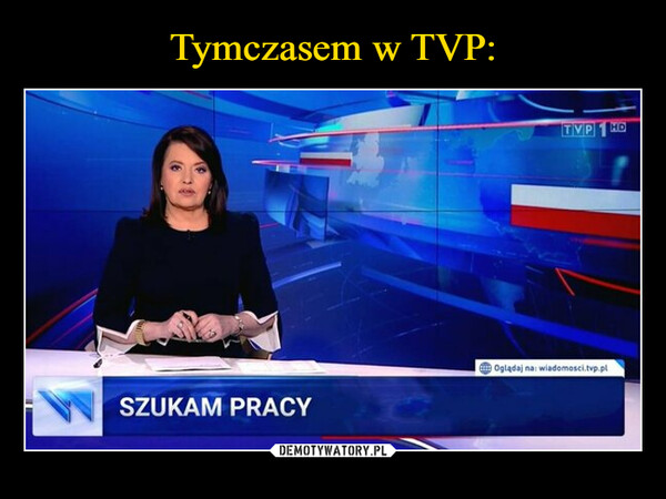  –  SZUKAM PRACYTVP1 HDOglądaj na: wiadomosci.tvp.pl