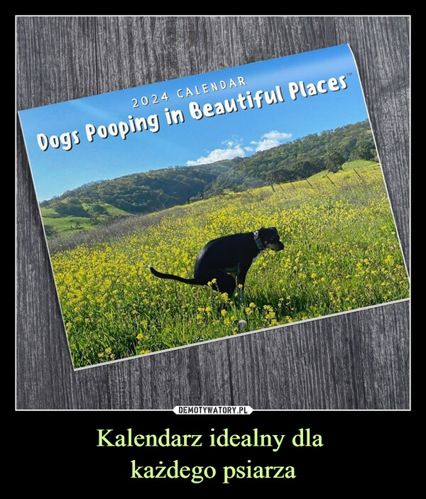 Kalendarz idealny dla każdego psiarza –  2024 CALENDARDogs Pooping in Beautiful PlacesM