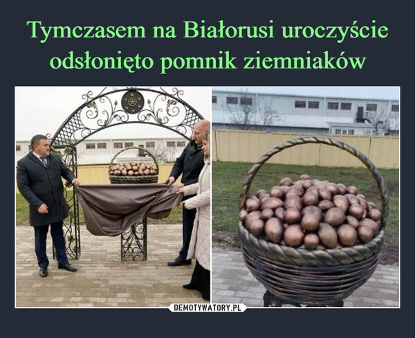 Tymczasem na Białorusi uroczyście odsłonięto pomnik ziemniaków