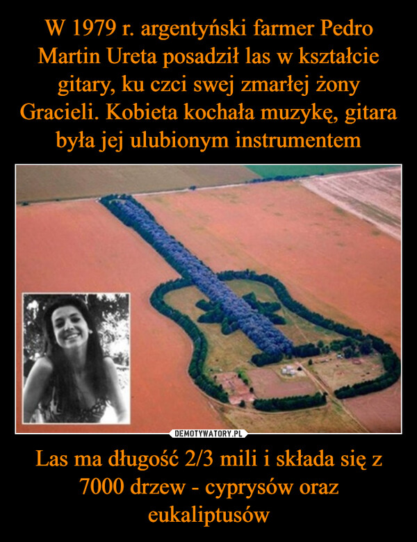 W 1979 r. argentyński farmer Pedro Martin Ureta posadził las w kształcie gitary, ku czci swej zmarłej żony Gracieli. Kobieta kochała muzykę, gitara była jej ulubionym instrumentem Las ma długość 2/3 mili i składa się z 7000 drzew - cyprysów oraz eukaliptusów