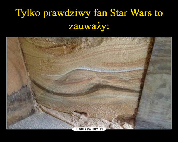 Tylko prawdziwy fan Star Wars to zauważy: