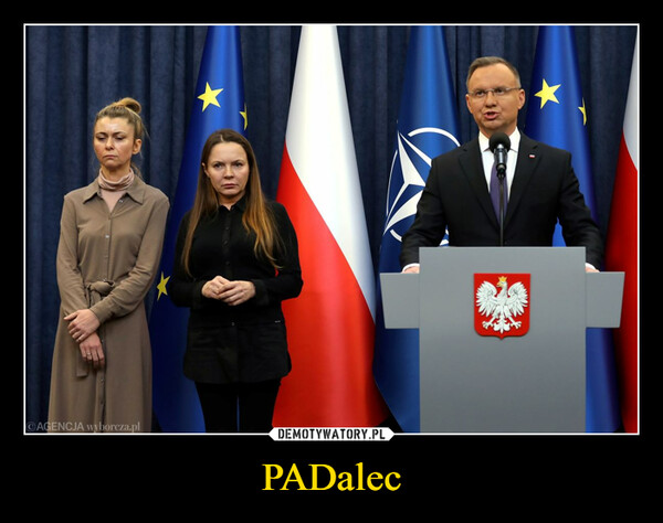 PADalec –  AGENCJA wyborcza.pl