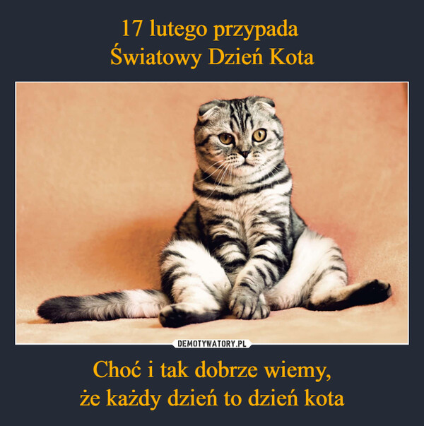 17 lutego przypada 
Światowy Dzień Kota Choć i tak dobrze wiemy,
że każdy dzień to dzień kota