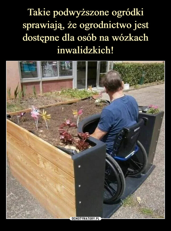 Takie podwyższone ogródki sprawiają, że ogrodnictwo jest dostępne dla osób na wózkach inwalidzkich!