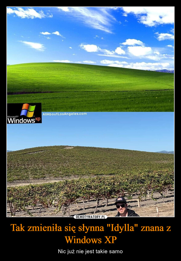 Tak zmieniła się słynna "Idylla" znana z Windows XP – Nic już nie jest takie samo Microsoft®HWindowsxpAllAboutLosAngeles.com
