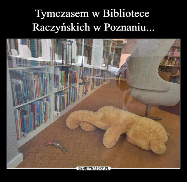 Tymczasem w Bibliotece 
Raczyńskich w Poznaniu...
